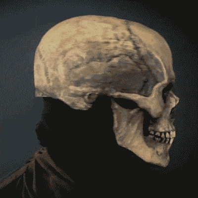 Halloween Realistic Skeleton Mask